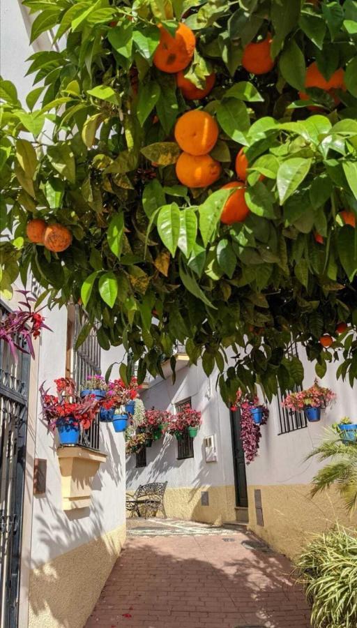 Apartamento Guadiana Sol Estepona Exterior foto